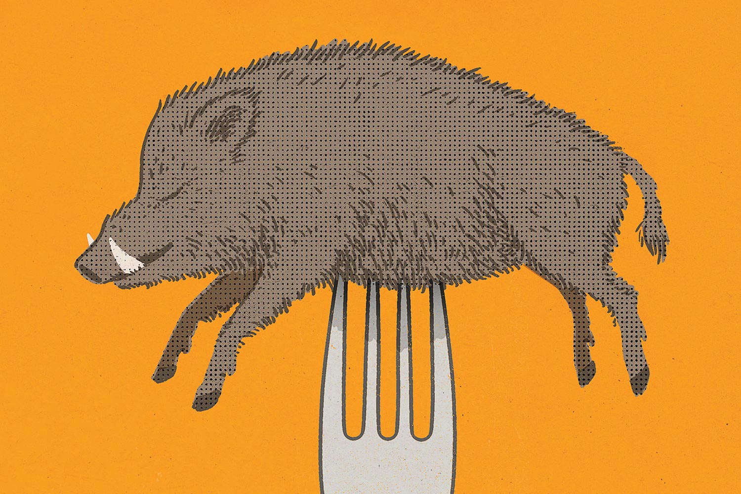 How To Cook An Entire Wild Boar Chicago Magazine