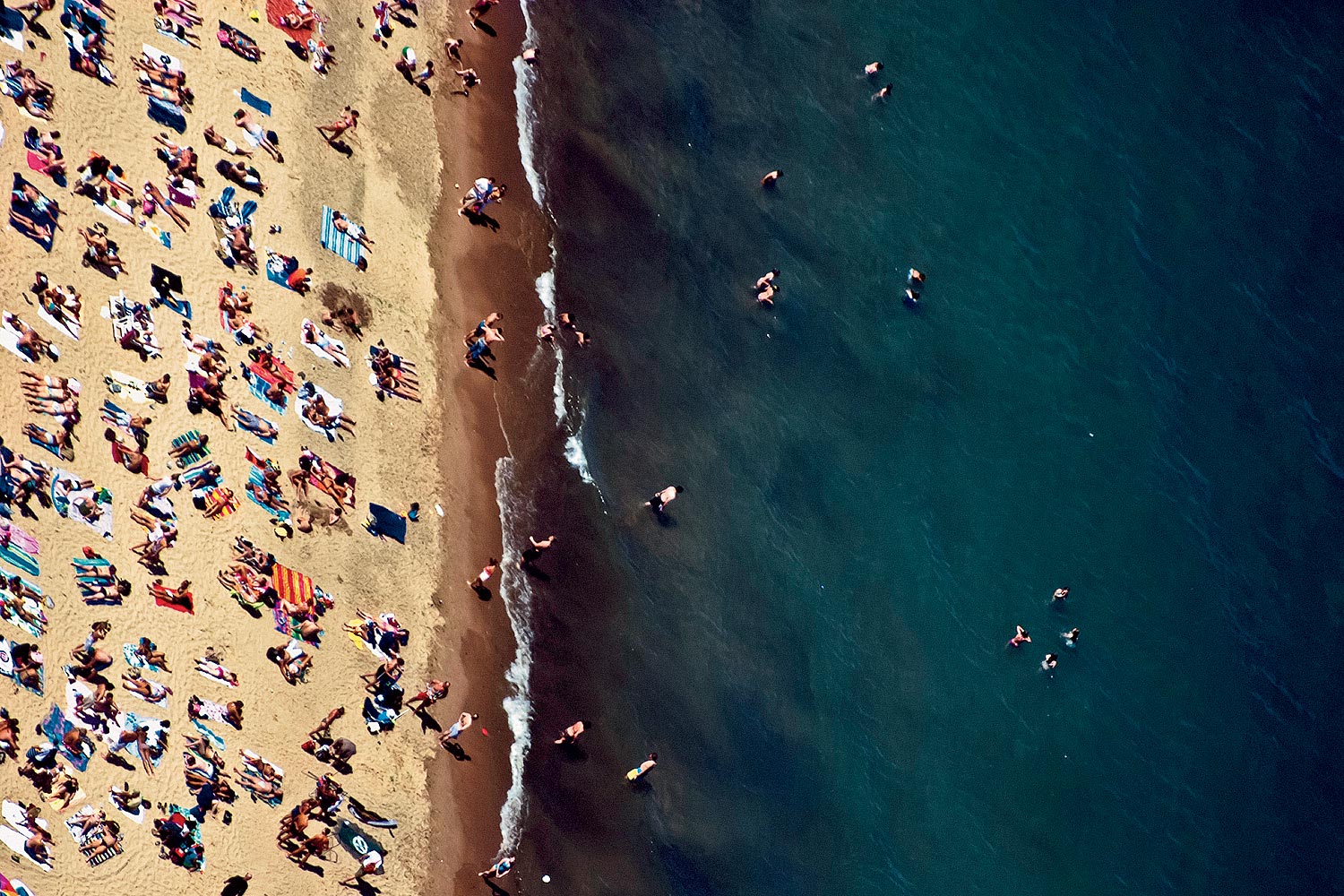 What does your Lake Michigan beach look like? The Tribune checked out many  in Chicago to see how they're faring.