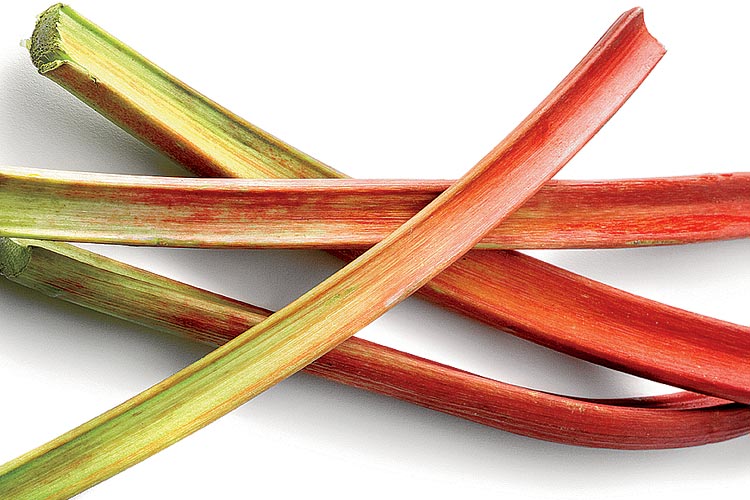What is Rhubarb? Demystifying Those Red Stalks - Finding Zest