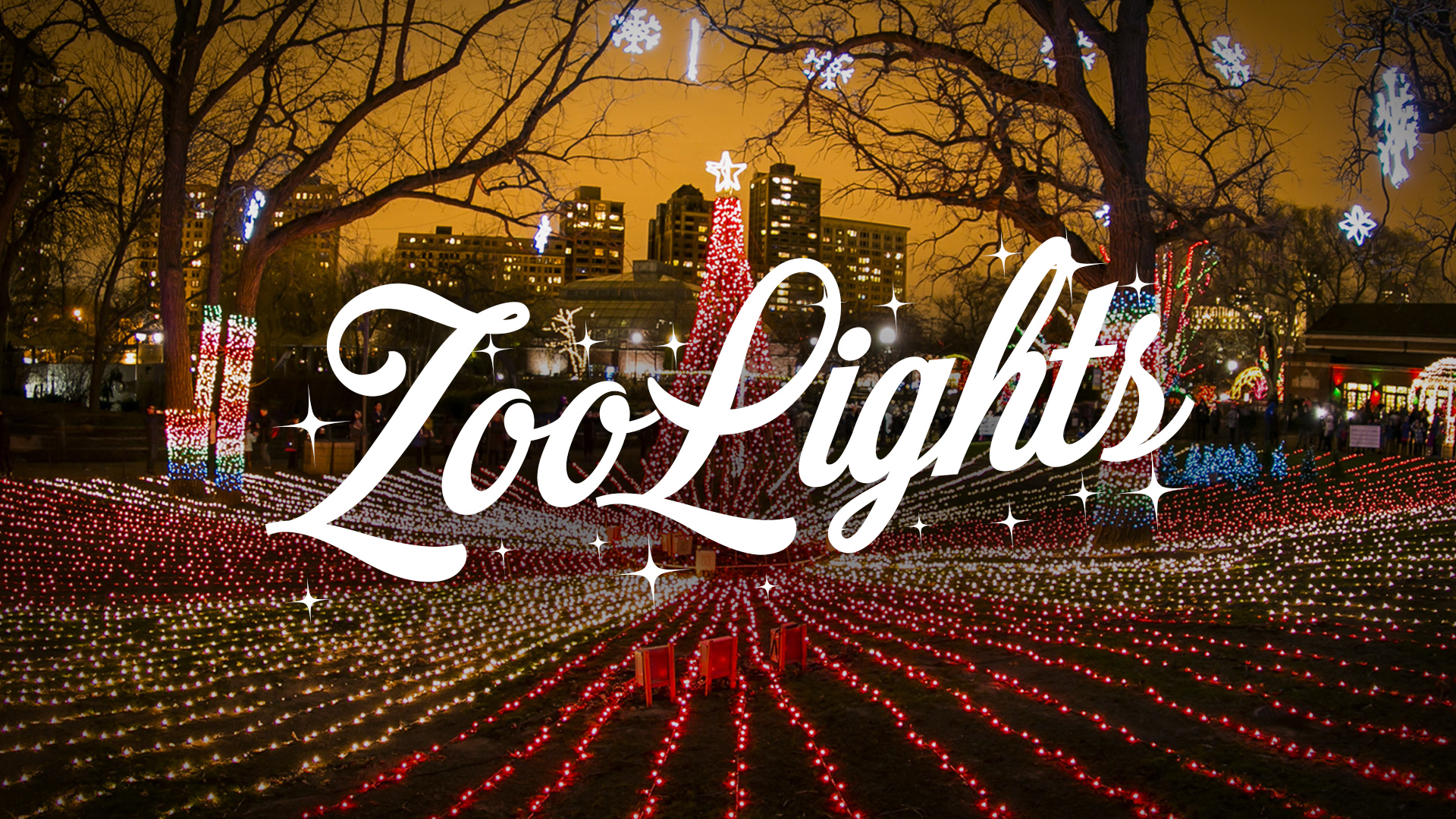 ZooLights at Lincoln Park Zoo Is Electrifying Chicago Magazine