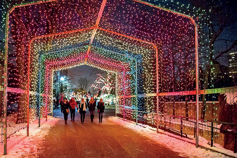 ZooLights