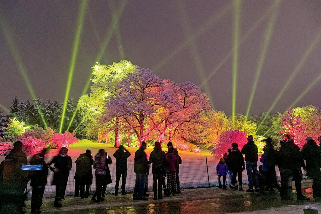 Morton Arboretum’s Illumination Lights Up December Chicago Magazine