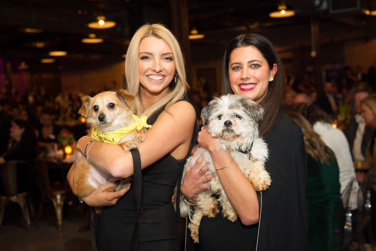 Photos from PAWS Chicago Animal Magnetism Event – Chicago Magazine