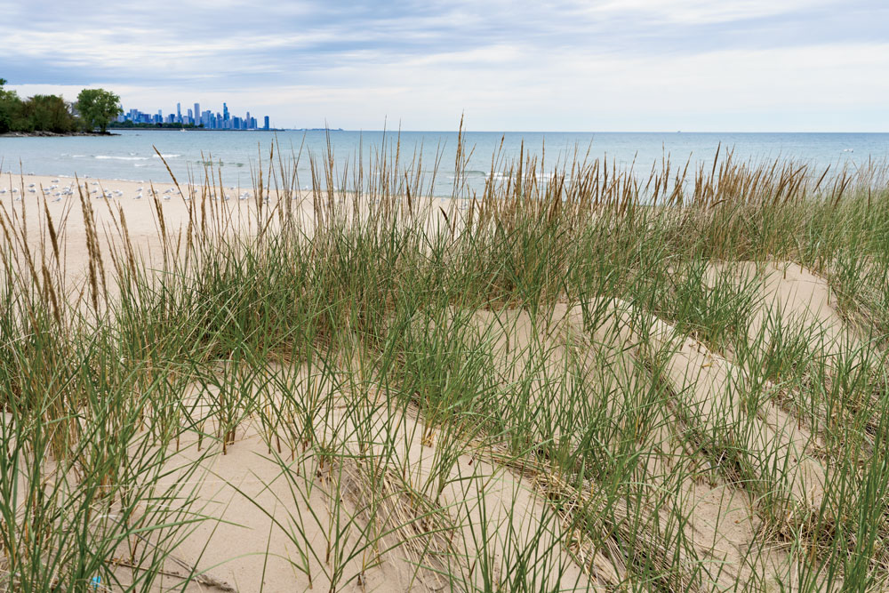 How Well Do You Know Chicago's Beaches?, Chicago News