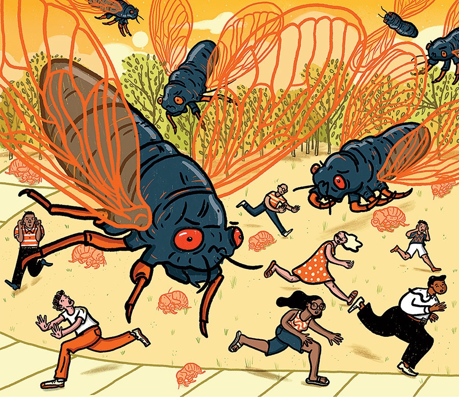 Invading cicadas illustration