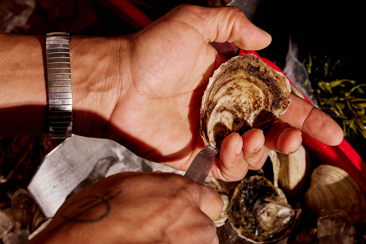 Shucking oysters