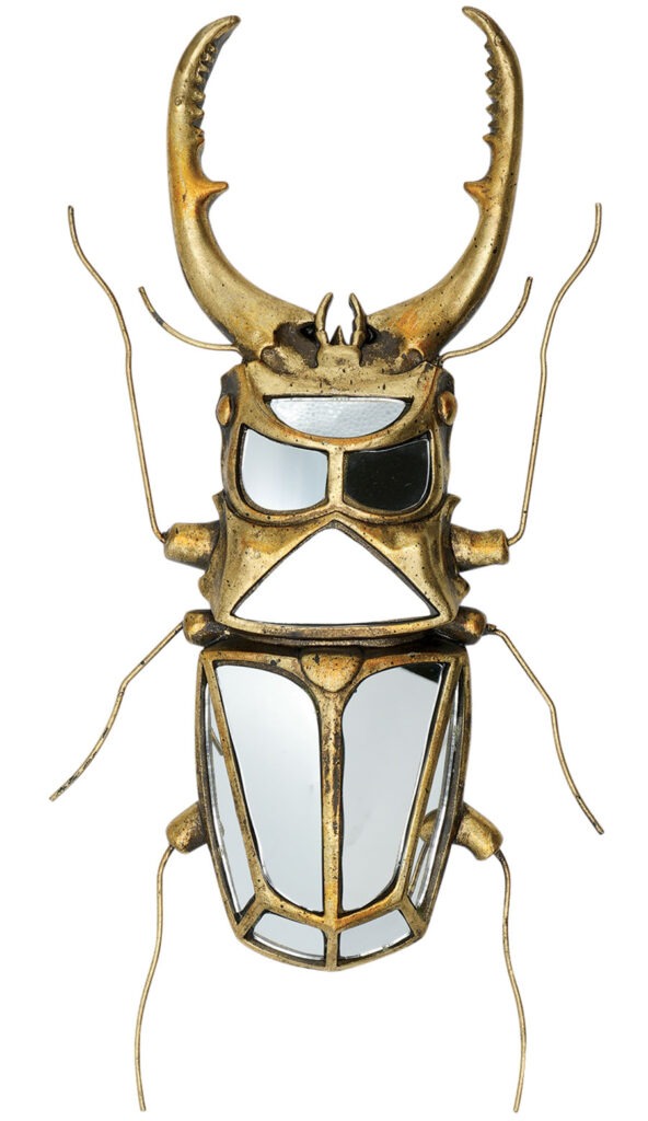 Stag beetle mirror